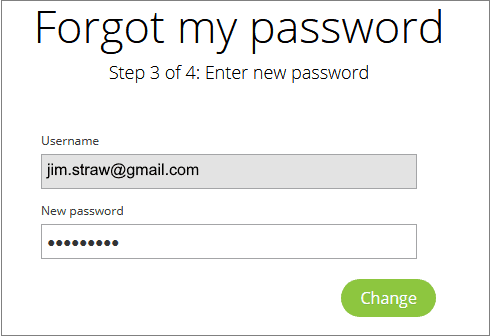 Entering the new password as a part of the password recovery process.